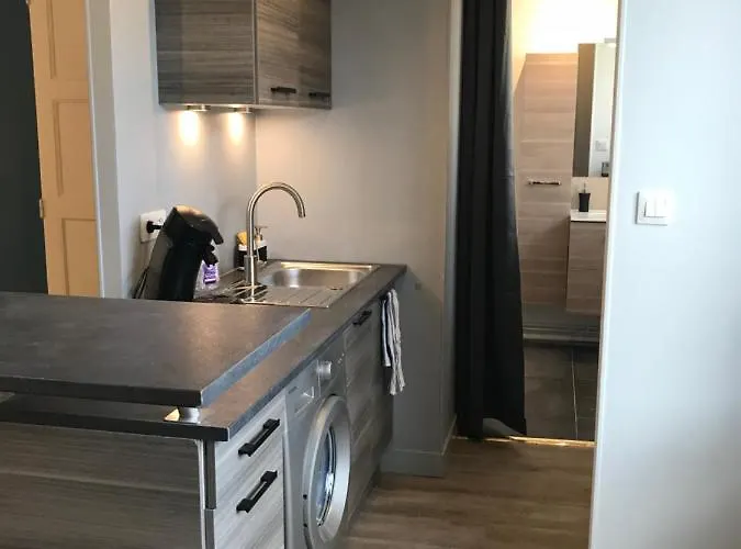 Cozy Hypercentre 公寓 勒芒